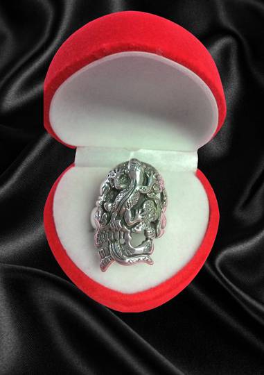 Skull and Lizard Ring image 0